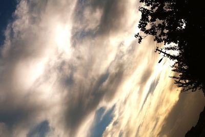 Low angle view of silhouette trees against sky