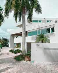 Palm trees by building against sky