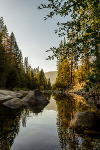 Scenic view of lake in forest against sky