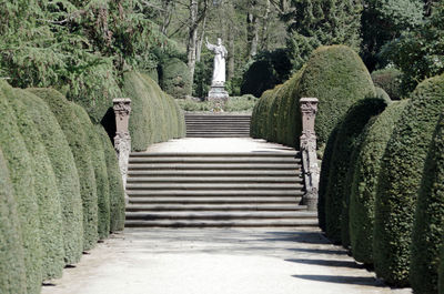 Footpath in garden