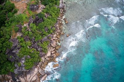 High angle view of river amidst trees