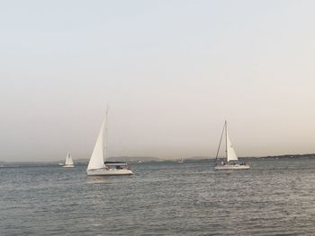 Sailboat sailing on sea against clear sky