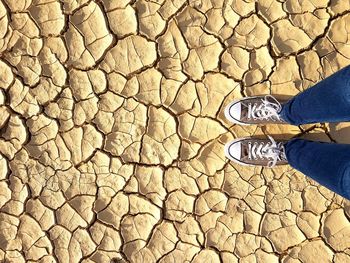 Low section of person standing on cobblestone