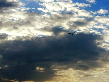Low angle view of silhouette bird flying in sky