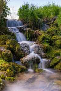 Scenic view of waterfall in forest