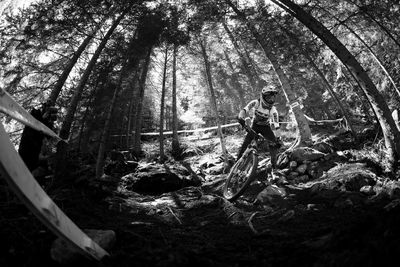 Man standing by trees in forest