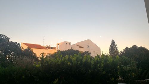 Trees in front of buildings