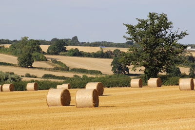 Hay bales on field against sky