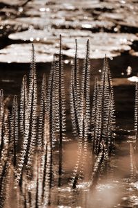 Low angle view of water