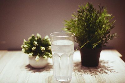 Close-up of glass plant on table