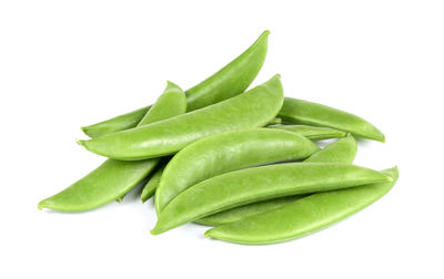 Close-up of succulent plant against white background