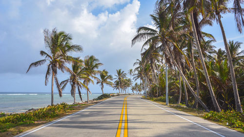 Palm trees on beach against sky