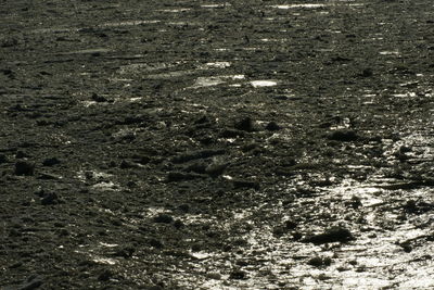 Full frame shot of water on beach