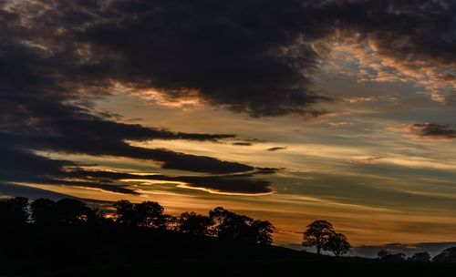 Silhouette trees against dramatic sky during sunset