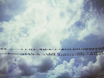 Low angle view of birds perching on cable against sky