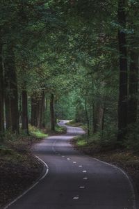 Road amidst trees in forest