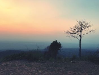 Bare trees on field against sky during sunset