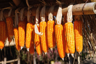 Close-up of orange hanging at market stall