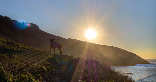 Man on mountain against sky during sunset