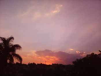 Silhouette trees against romantic sky at sunset