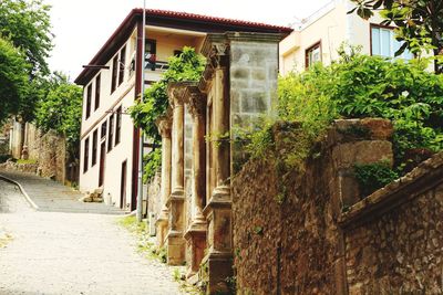 Street amidst buildings against trees