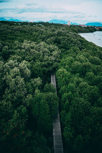 High angle view of trees on landscape against sky