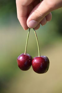 Close-up of hand holding strawberry