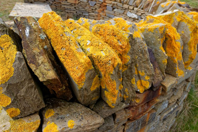 High angle view of yellow rocks on rock