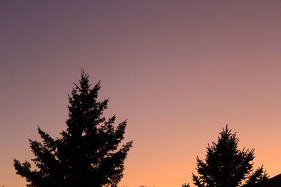 Low angle view of silhouette trees against clear sky