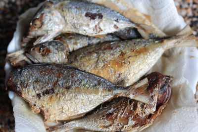 High angle view of fish in market