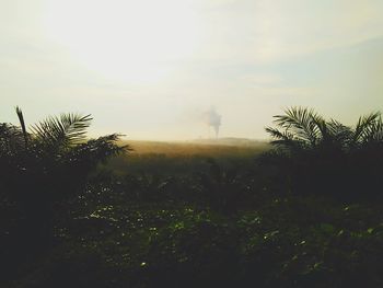 Scenic view of field against cloudy sky