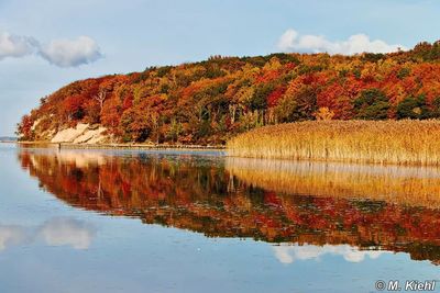 Reflection of trees in lake