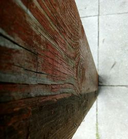 Close-up of tree trunk against wall