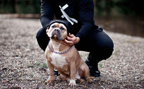 Man with funny american bully pet dog in a cap on location in nature