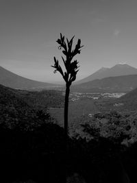 Scenic view of mountains