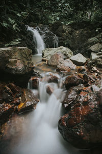View of waterfall in forest