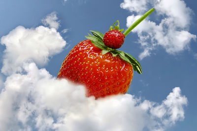 strawberry