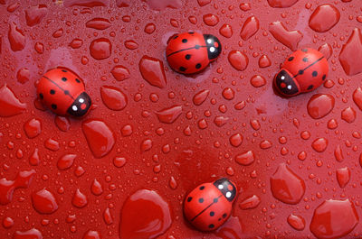 Full frame shot of water drops