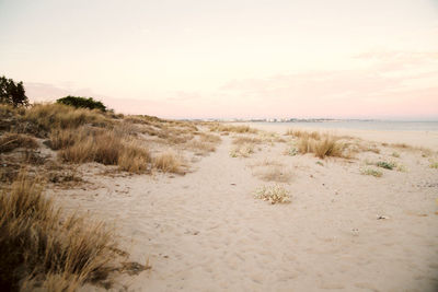 Scenic view of beach against sky