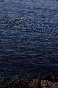 Scenic view of calm lake