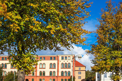 Tree by residential building against sky