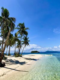 Palm trees on beach against sky