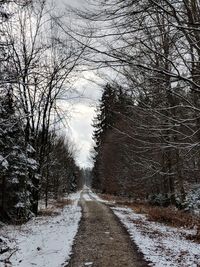 Road amidst bare trees during winter