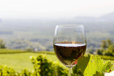 Close-up of wineglass on table in vineyard against sky