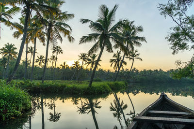 Palm trees by lake against sky during sunset