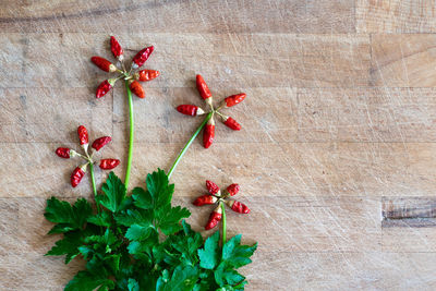 High angle view of red berries on table