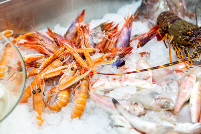 High angle view of fish for sale in market