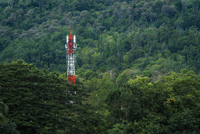 Red telephone pole amidst trees in forest