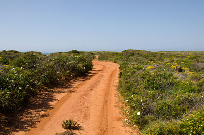 Dirt road amidst plants against clear sky