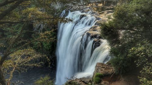 Scenic view of waterfall in forest